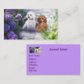 プードルの繁殖動物の名刺 名刺 (正面/裏面)