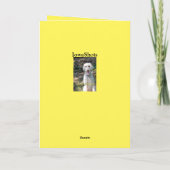 プードルの誕生日 カード (裏面)