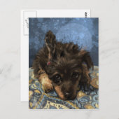 プードルの錆び ポストカード (正面/裏面)