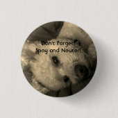 プードルは広告宣伝ボタンを卵巣摘出し、中性化します 缶バッジ (正面)