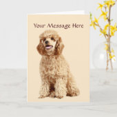 プードルグリーティングカード カード (黄色い花)