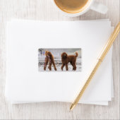 プードルデイ2010 #10 ラベル (インサイチュ)