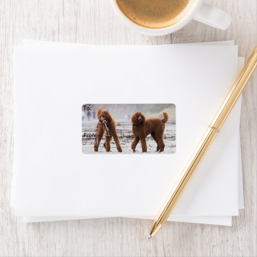 プードルデイ2010 #10 ラベル (インサイチュ)