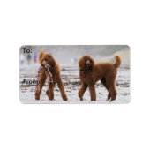 プードルデイ2010 #10 ラベル (正面)