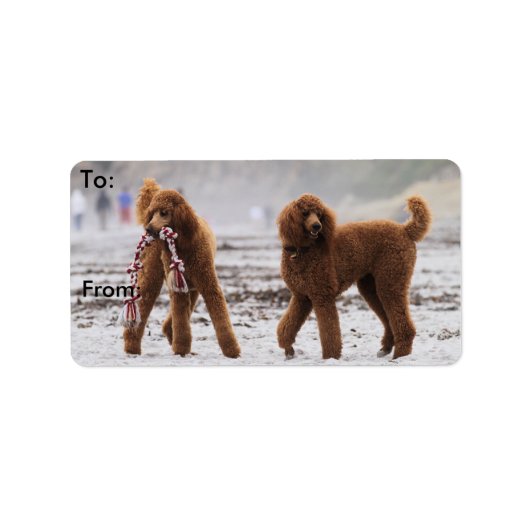 プードルデイ2010 #10 ラベル (正面)