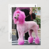 プードルデイ2010 #11 ポストカード (正面/裏面)