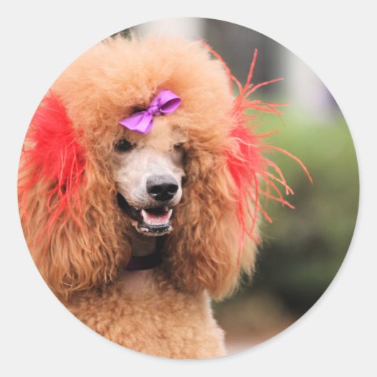 プードルデイ2010 #1 ラウンドシール (正面)