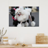 プードルデイ2010 #6 ポスター (キッチン)