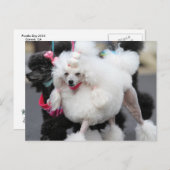 プードルデイ2010 #6 ポストカード (正面/裏面)