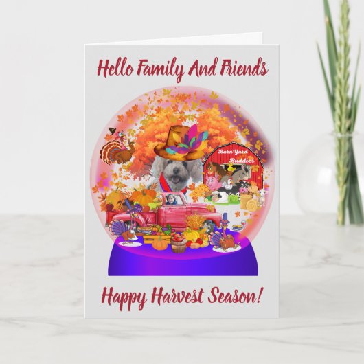 プードルハーベスト感謝祭シーズングリーティングカード カード (正面)