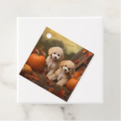 プードルパピーオータムデライトカボチャ フェイバータグ (インサイチュ)