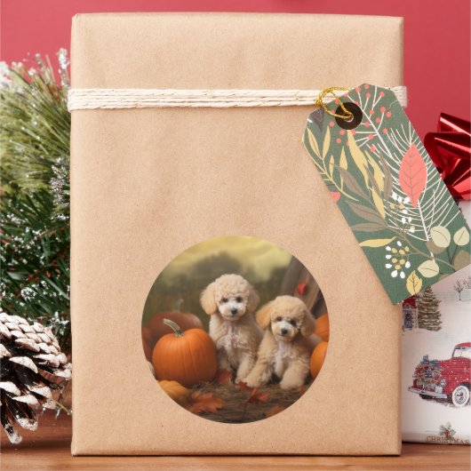 プードルパピーオータムデライトカボチャ ラウンドシール (クリスマス)