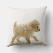 プードルパピー クッション (裏面)