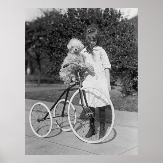 プードルパーチ， 1913 ポスター (正面)