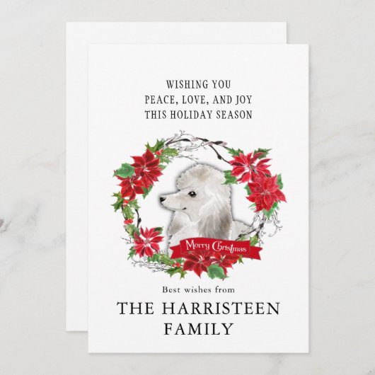 プードルホワイトウォーター色ポインセチアのクリスマス シーズンカード (正面/裏面)