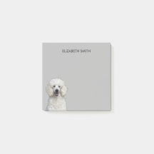 プードルホワイトスタンダードドッグ