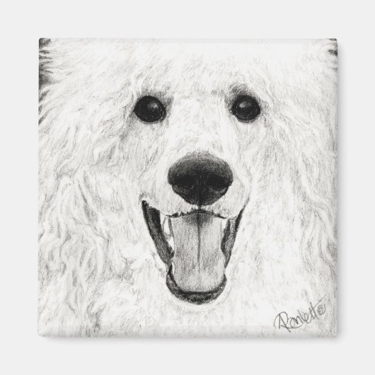 プードルマグネット – "すてきBoy" マグネット (正面)