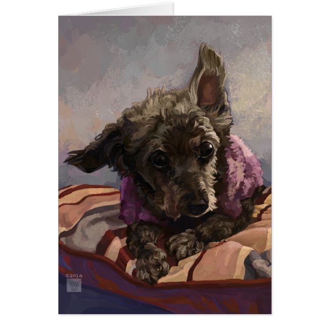 プードルミスティ (正面)