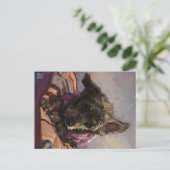 プードルミスティ ポストカード (スタンド正面)