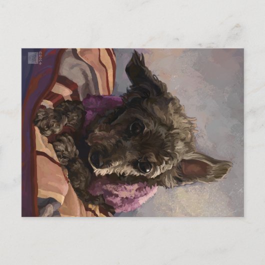 プードルミスティ ポストカード (正面)