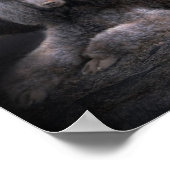 プードルロックアートポスター/プリント ポスター (角)