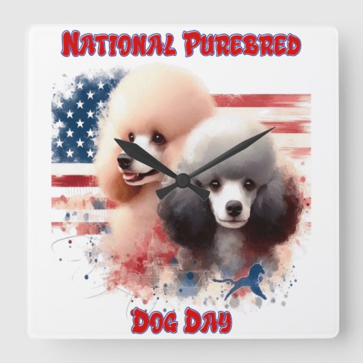 プードル付き全国ピュレーブルドッグデイお祝い スクエア壁時計 (正面)