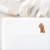 プードル住所 シール (インサイチュ)