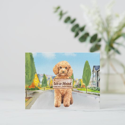 プードル引っ越しました新しいアドレスかわいい犬の移動 案内ポストカード (スタンド正面)
