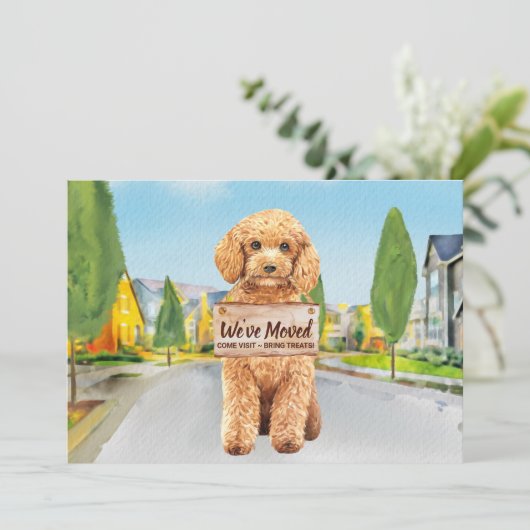 プードル引っ越しました新しいアドレスかわいい犬の移動 案内状 (スタンド正面)