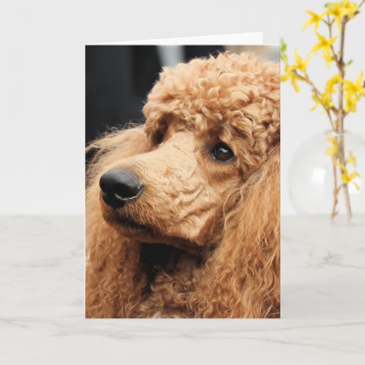 プードル日2010 #19 カード (黄色い花)