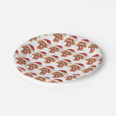 プードル犬がクリスマススターを育てる ペーパープレート (アングル)