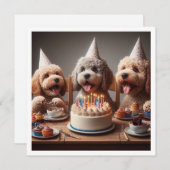 プードル犬のカード、プードル誕生日 招待状 (正面/裏面)