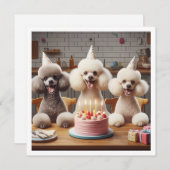 プードル犬のカード、プードル誕生日 招待状 (正面/裏面)