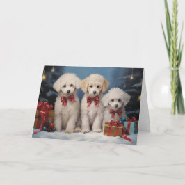 プードル犬のクリスマスカード サンキューカード