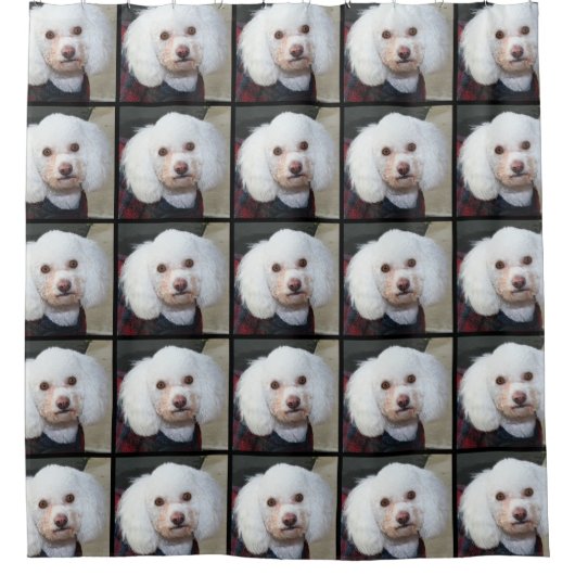 プードル犬のシャワー・カーテン シャワーカーテン (正面)