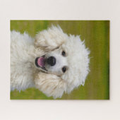 プードル犬。 ジグソーパズル (横)