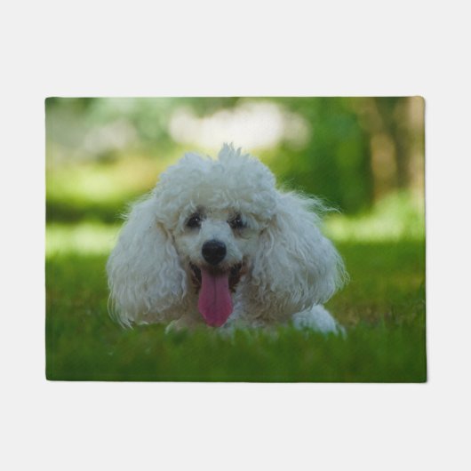 プードル犬 ドアマット (正面)