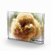 プードル犬 フォトブロック (右)