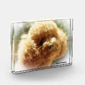 プードル犬。 フォトブロック (左)