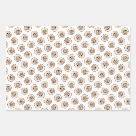 プードル絵を描のおもちゃアプリコットクリームオリジナルドッグアート ラッピングペーパーシート (正面2)