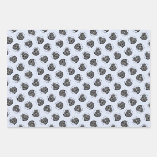 プードル絵を描のミニチュアトイブラックペットドッグアート ラッピングペーパーシート (正面)