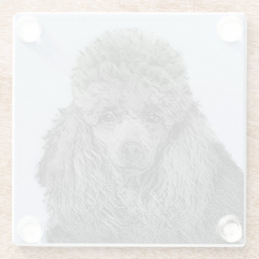 プードル絵画のミニチュアトイブラックオリジナルアート ガラスコースター (裏面)