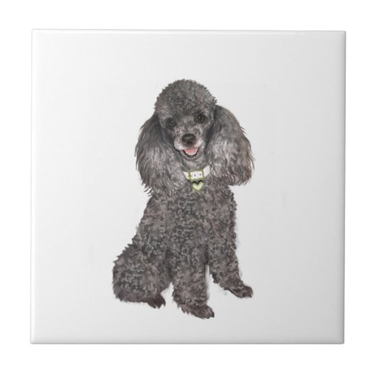 プードル – トイ/ミニチュアシルバー タイル (正面)