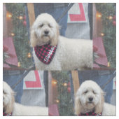 プードル ファブリック (クローズアップ)