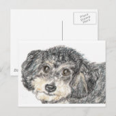 プードル ポストカード (正面/裏面)