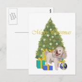 プードル ポストカード (正面/裏面)