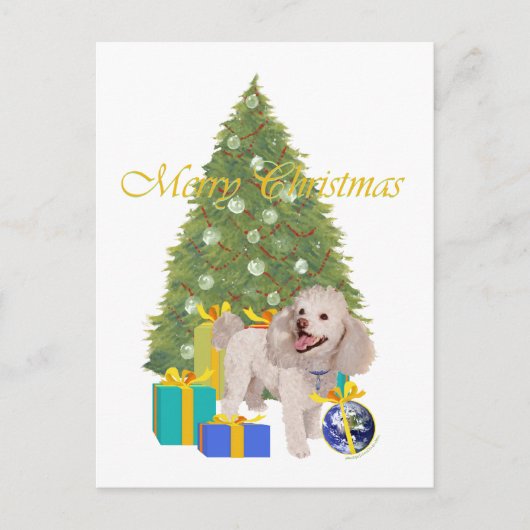 プードル ポストカード (正面)