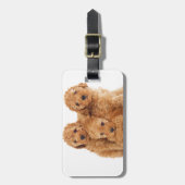 プードル ラゲッジタグ (正面縦)