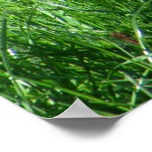 プードル – 怒らない – ポスター (角)