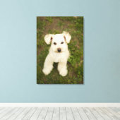 プードル（白） キャンバスプリント (インサイチュ (ウッドフロア))